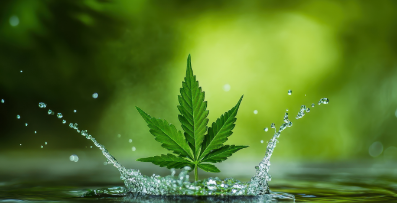 化学肥料と使用しない場合