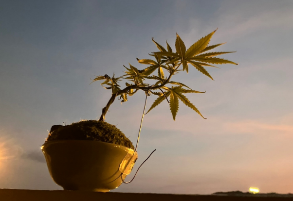 フリーエネルギー